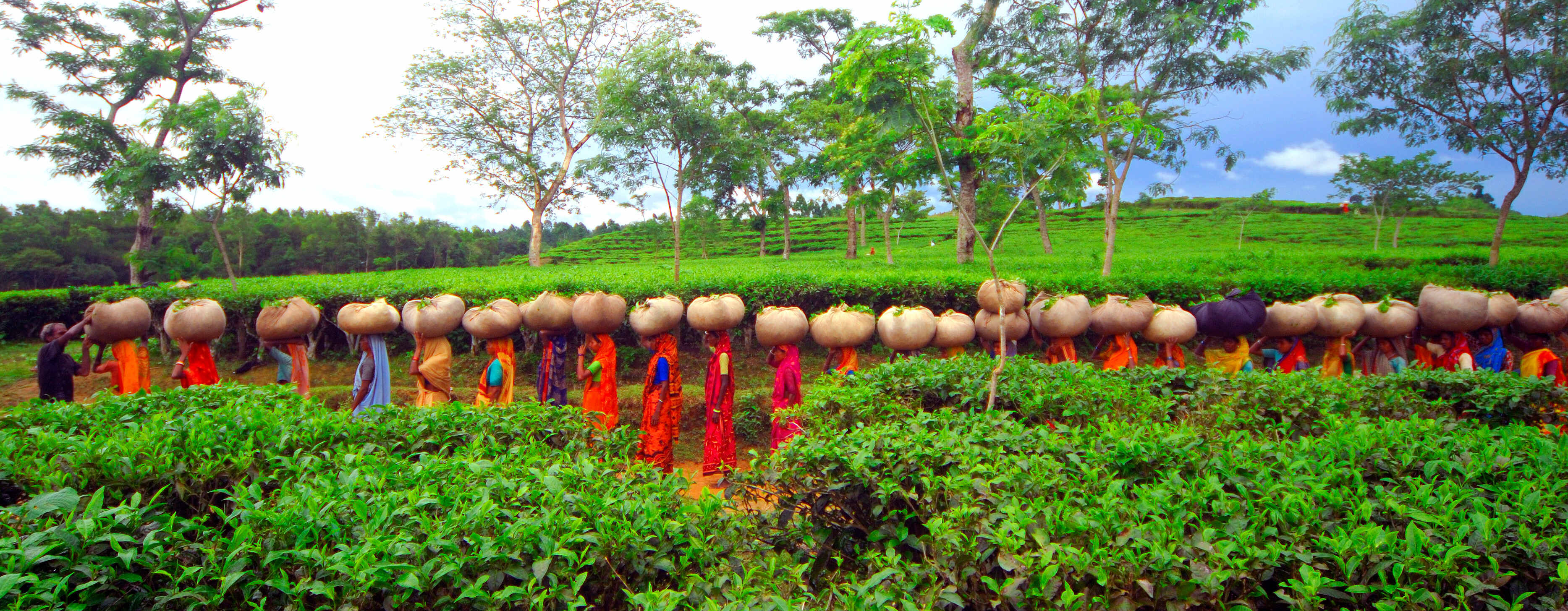 Bangladesh Tour Package Bangladesh Tour Package