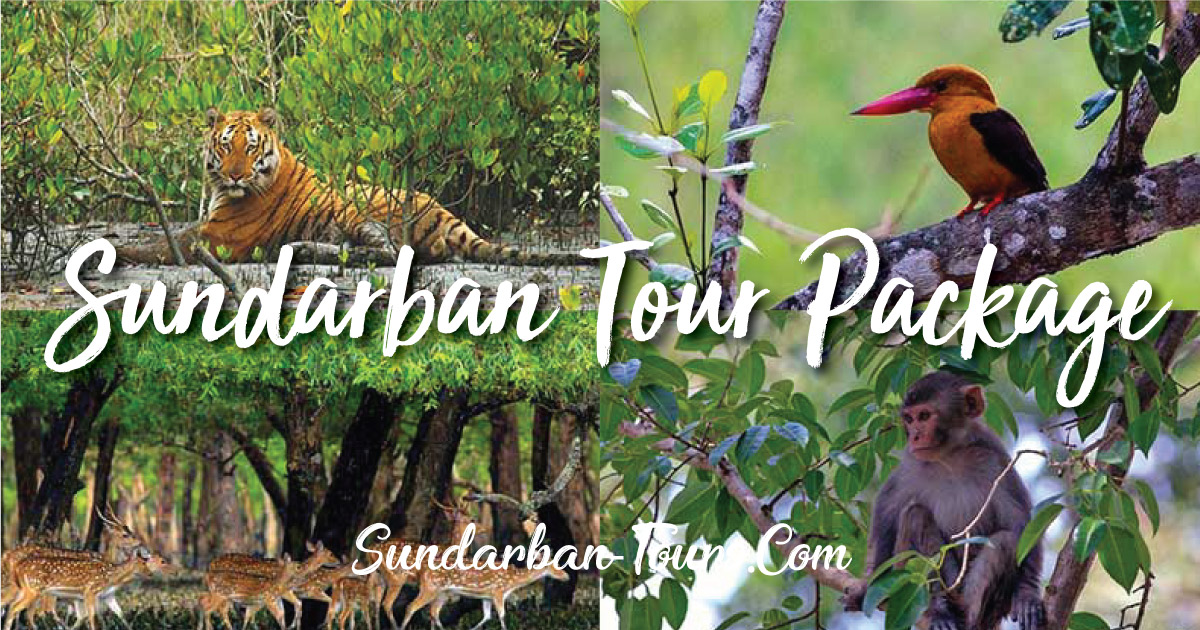 Sundarban Tour Package