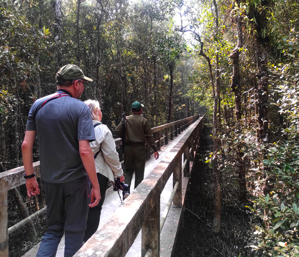 Sundarban Tour Package